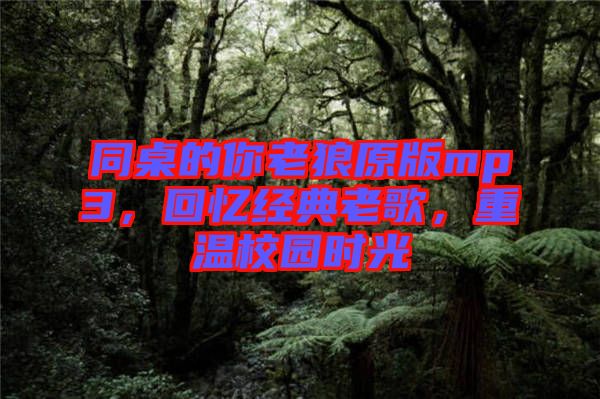 同桌的你老狼原版mp3，回憶經(jīng)典老歌，重溫校園時(shí)光