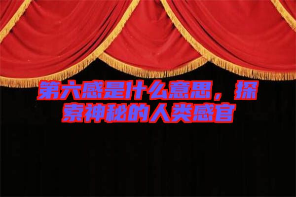 第六感是什么意思，探索神秘的人類感官