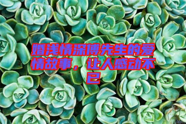 婚淺情深傅先生的愛(ài)情故事，讓人感動(dòng)不已