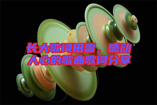 長(zhǎng)大歌詞田雷，感動(dòng)人心的歌曲歌詞分享