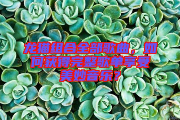 龍貓組合全部歌曲，如何獲得完整歌單享受美妙音樂？