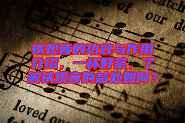 鐵觀音的功效與作用介紹，一杯好茶，了解鐵觀音的益處如何？