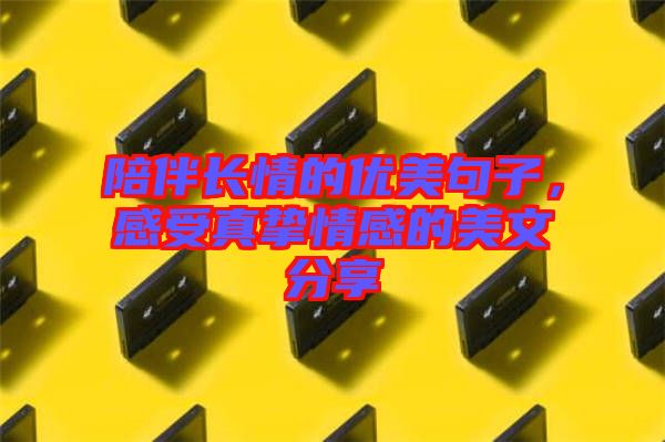 陪伴長情的優(yōu)美句子，感受真摯情感的美文分享