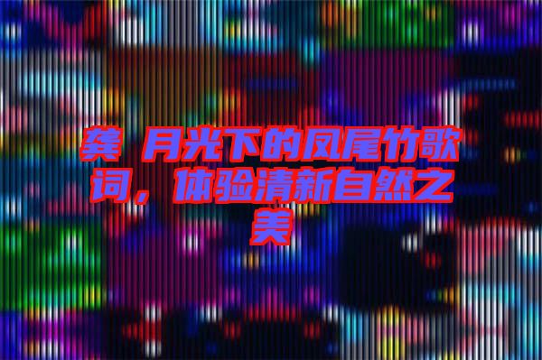 龔玥月光下的鳳尾竹歌詞，體驗(yàn)清新自然之美