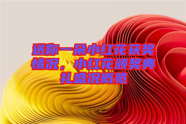 送你一朵小紅花獲獎(jiǎng)情況，小紅花頒獎(jiǎng)典禮盛況概覽