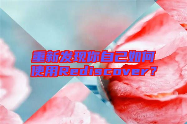 重新發(fā)現(xiàn)你自己如何使用Rediscover？
