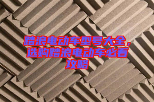 踏浪電動車型號大全，選購踏浪電動車必看攻略