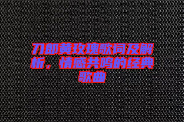 刀郎黃玫瑰歌詞及解析，情感共鳴的經(jīng)典歌曲