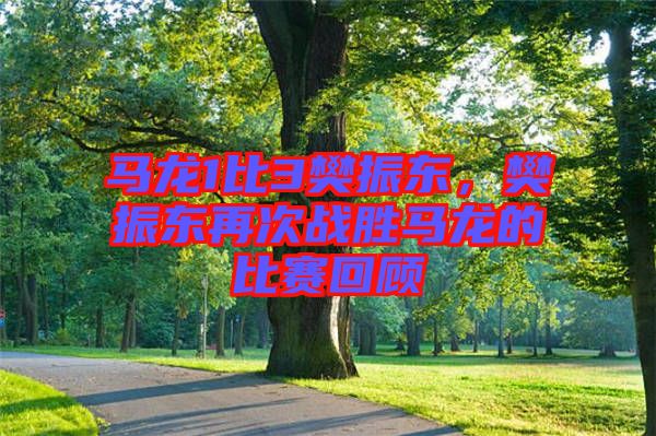 馬龍1比3樊振東，樊振東再次戰(zhàn)勝馬龍的比賽回顧