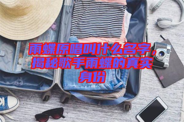 雨蝶原唱叫什么名字，揭秘歌手雨蝶的真實(shí)身份