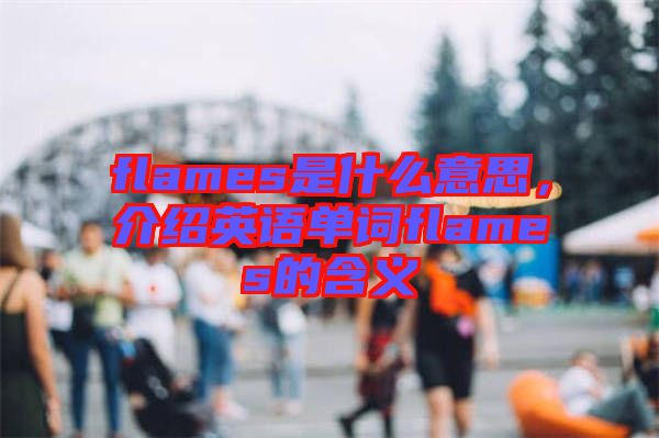 flames是什么意思，介紹英語單詞flames的含義
