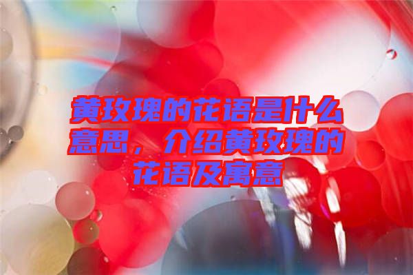 黃玫瑰的花語(yǔ)是什么意思，介紹黃玫瑰的花語(yǔ)及寓意